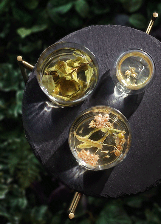 a686e6c24cb5965e26298e83eb189687